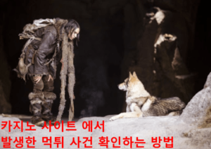 카지노 사이트